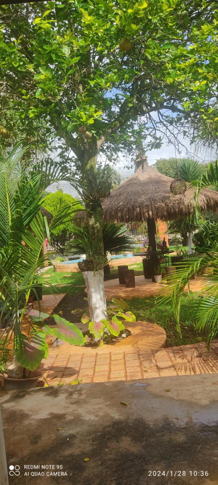 Quinta Rosita Bed & Breakfast Ticul Exterior photo