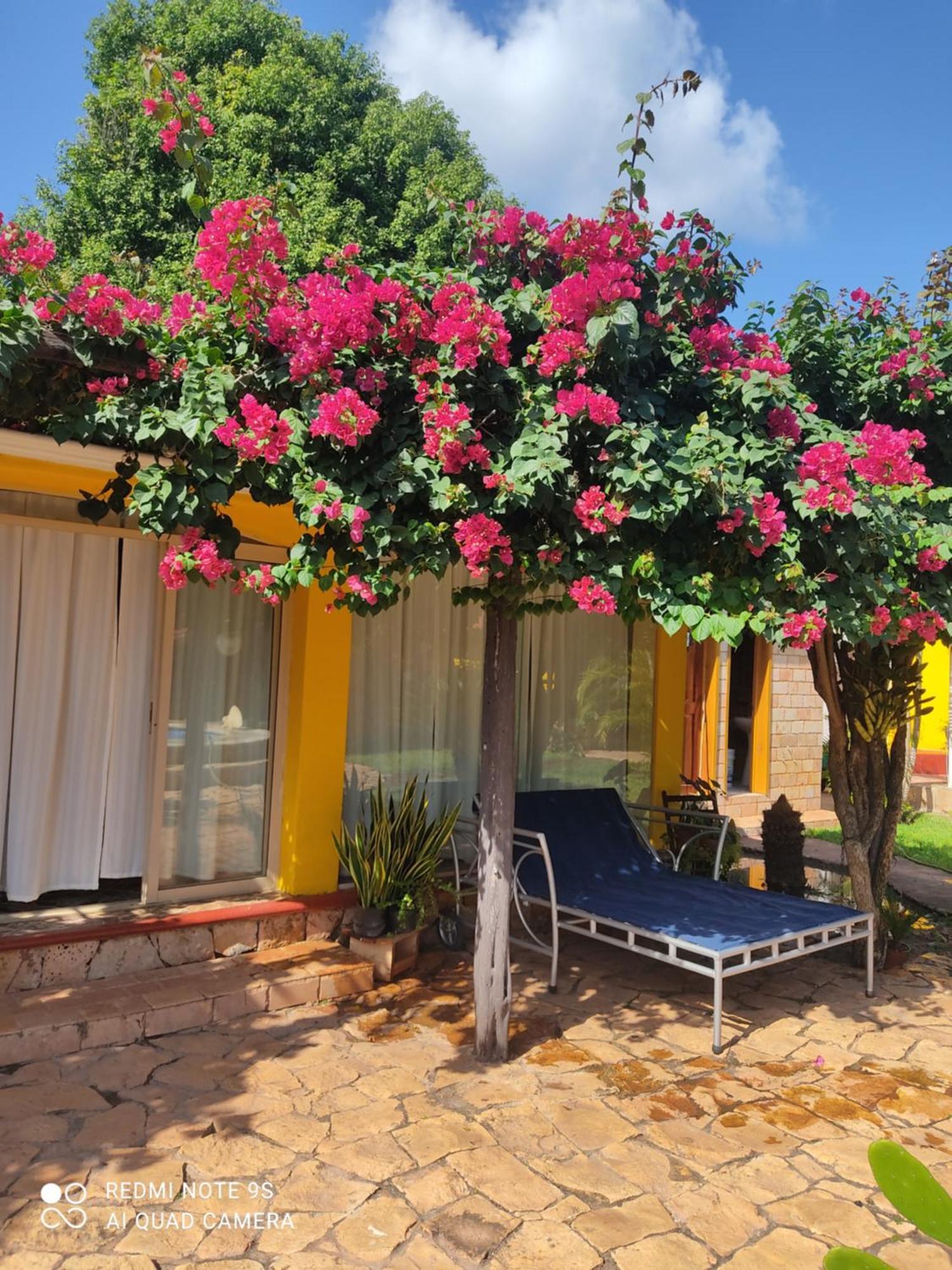 Quinta Rosita Bed & Breakfast Ticul Exterior photo